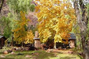 Phantom Ranch Grand Canyon National Park Photos Reviews Deals