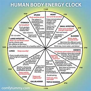 How And Why You Should Plan Your Day Around Your Human Body Energy