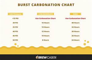 The Definitive Guide To Force Carbonating Your 