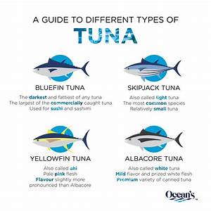 A Guide To Different Types Of Tuna Ocean 39 S