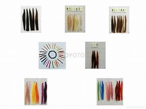 Human Hair Color Chart Cc0001 Joyoto China Manufacturer