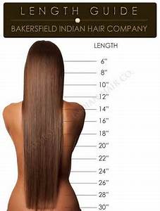 Best 25 Hair Length Chart Ideas On Pinterest Length Of Hair Chart
