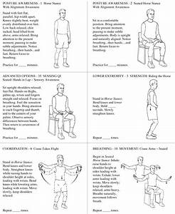 Tcf Movement Pattern Adaptations 1 Gif 982 1200 Hand Exercises For