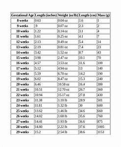 Baby Weight Chart By Week After Birth