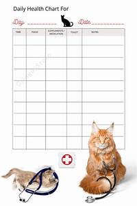 Printable Daily Cat Health Tracker Pet Medical Journal Animal