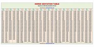 16 Mare Gestation Calculator Supneetfulton