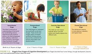 20 Jean Piaget 39 S Stages Of Cognitive Development Chart