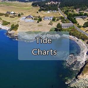 Tide Charts Island Chamber Of Commerce