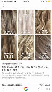 Beige Hair Color Chart Fragrances Personal Website Photographs