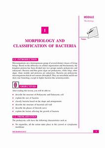 Pdf Morphology And Classification Of Bacteria