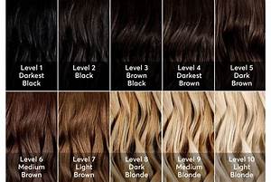 Brown Hair Chart Ion Hair Color Chart Ion Hair Colors Hair Color