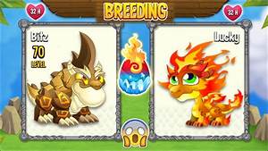 New Double Terra Dragon Double Flame Dragon Dragon City