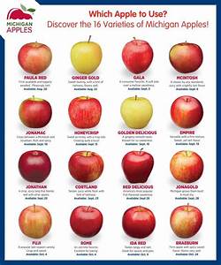 16 Types Of Apples From Michigan Healthy Family Project
