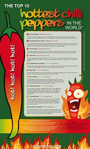 The Top 10 Chilli Peppers In The World Infographic Plyvine