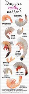 Shrimp Sizes Decoded Learn What He Different Sizes Of Shrimp Actually