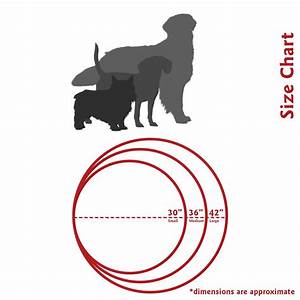 Dog Bed Size Chart Sites Unimi It