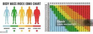 Body Masse Index Chart Vector Illustration Stock Illustration