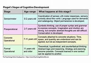 the jean piaget stages of cognitive development the psychology notes