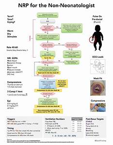 Nrp Neonatal Resuscitation Program