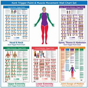 Trigger Point Chart Management Without Opioids
