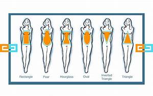 Illustration Design For Female Body Shapes Types Freelancer