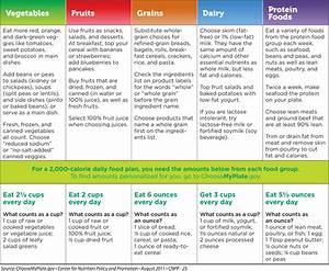 gallery for gt my plate serving sizes