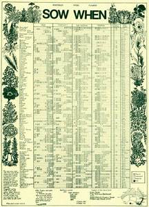 When To Sow Chart Rolled In Tube All Rare Herbs