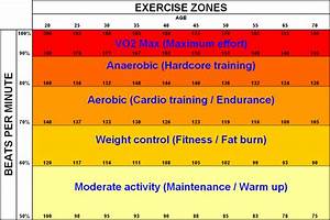 How Do I Workout My Heart Rate Zones For Training Physical Fitness