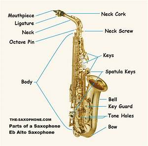 Saxophone Class Glen Music
