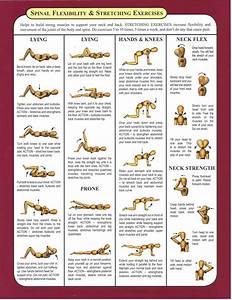 Check Out All These Awesome Spinal Flexibility Exercises