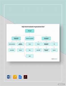 School Organizational Chart In Pdf Free Template Download