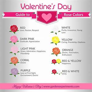 The Meaning Of Rose Colors A 39 S Day Guide