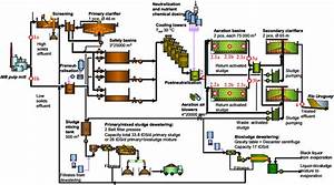 Process Flow Diagram Of The Pulp Mill Wwtp The Location Of The
