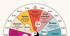 Chinese Body Clock About Benefits Research Chinese Body Clock