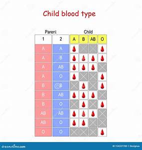 Blood Type Compatibility Table Chart With Donor And Recipient Groups