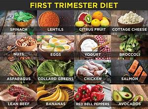 foods to eat when first trimester diet