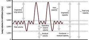 Lung Volumes And Compliance Pulmonary Physiology For Pre Clinical