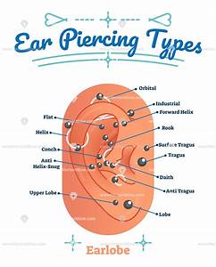 Ear Piercing Types Vector Illustration Labeled Diagram Industrial