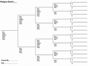 Rejoice And Be Exceeding Glad The Accuracy Of A Family Tree