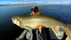 Lake Trout Length To Weight Conversion Chart In Fisherman