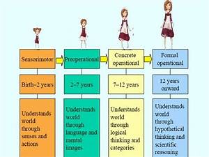 Piaget 39 S Stages Of Cognitive Development