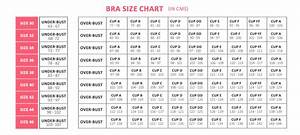 Bra Size Calculator