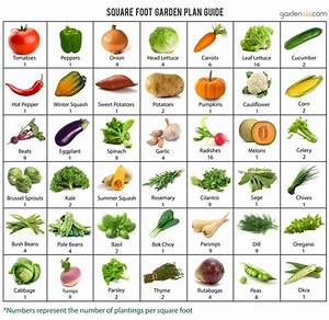 Printable Square Foot Gardening Spacing Chart