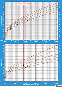 Child S Growth Chart Download Scientific Diagram