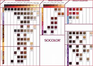 Aloxxi Color Chart 126756 Matrix Socolor Color Chart Hair In 2018