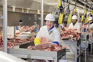 Meat Production