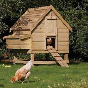 Animal Farm henhouse