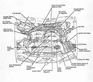 1987 Nissan 300zx Engine Diagram Wiring Diagram Shut Curve A Shut Curve A Cfcarsnoleggio It