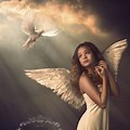 Angel Photography