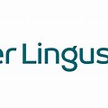 Lingus Logo